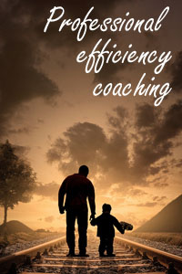 Professional efficincy coaching